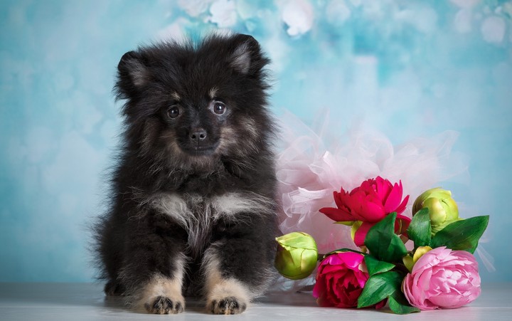 cute