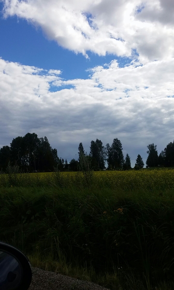 Finnish summer