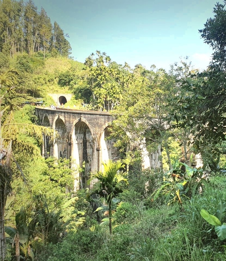 bridge