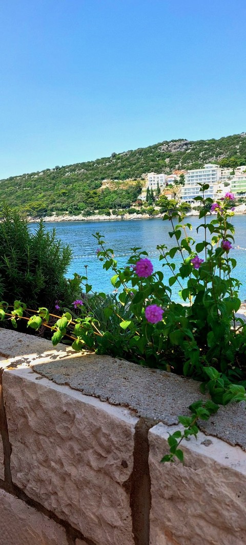 Enchanting view (Lagonisi, Athens)