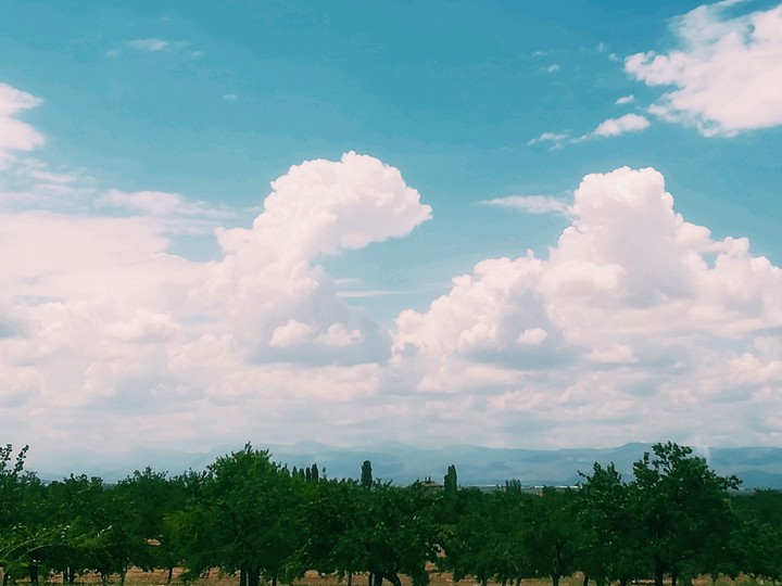 Malatya yeşiltepe