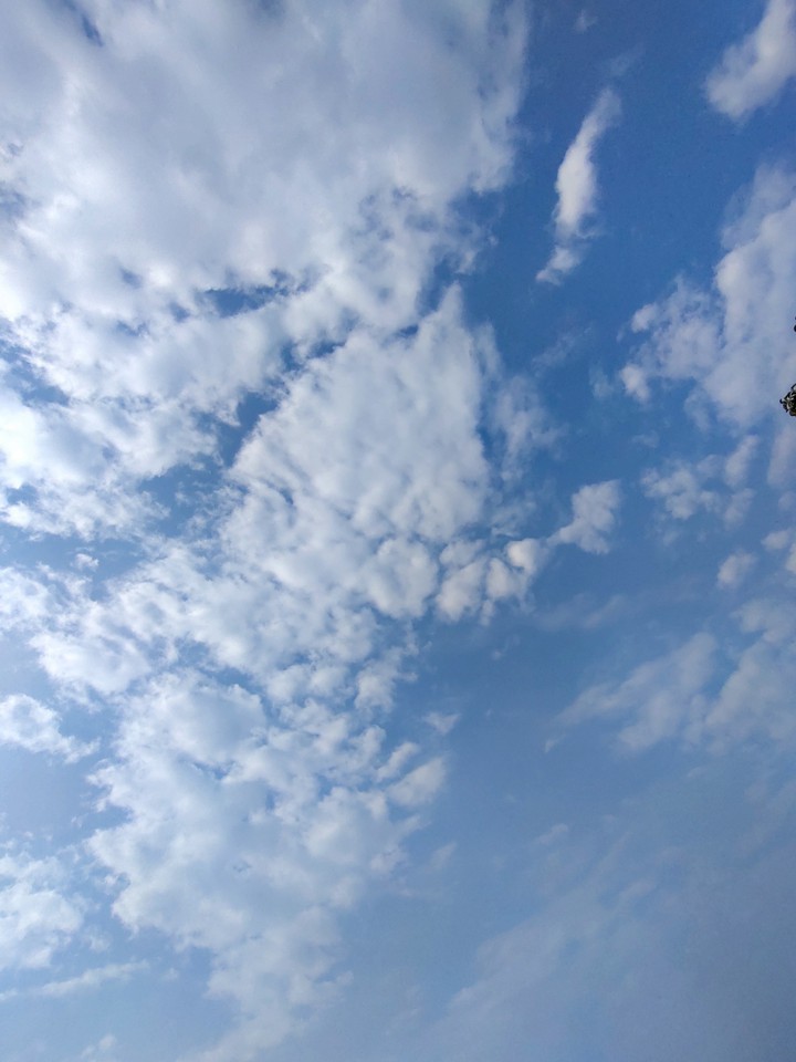 blue sky