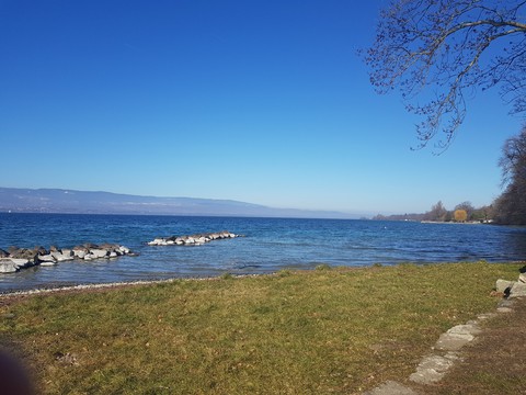 Lac de Genève