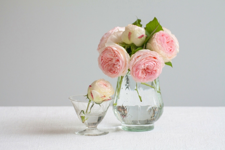 flower.Follow me