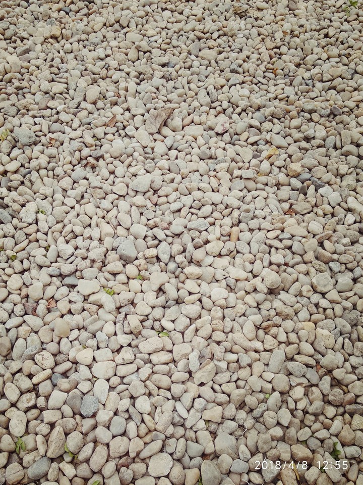 rocks
