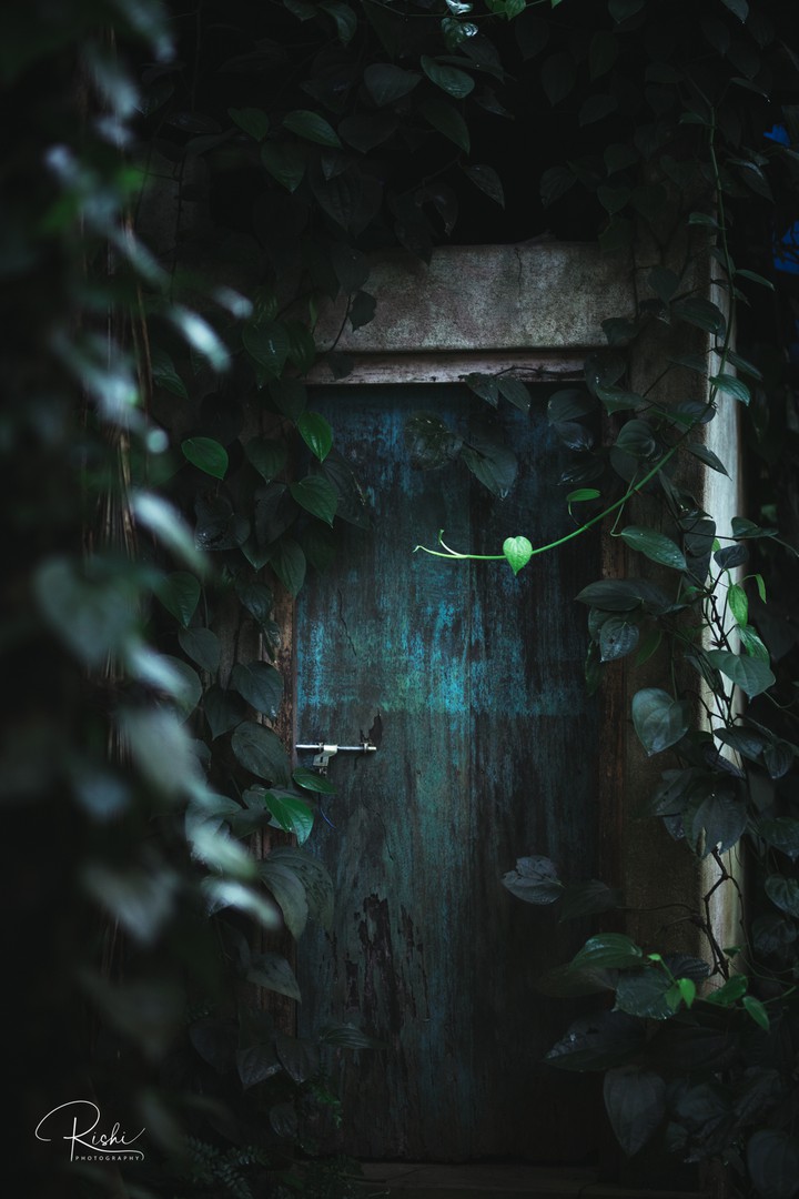 RETRO DOOR