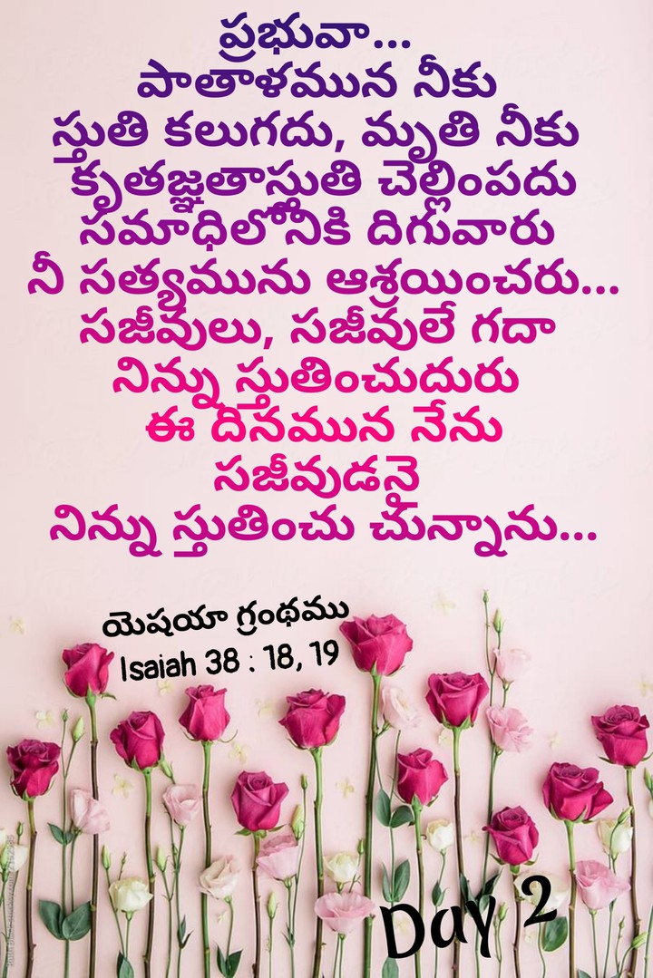 @Bible Quotes