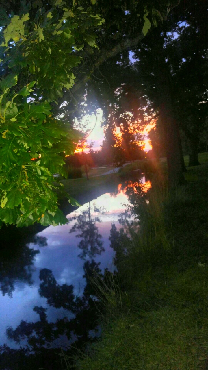 A perfect end of summer night