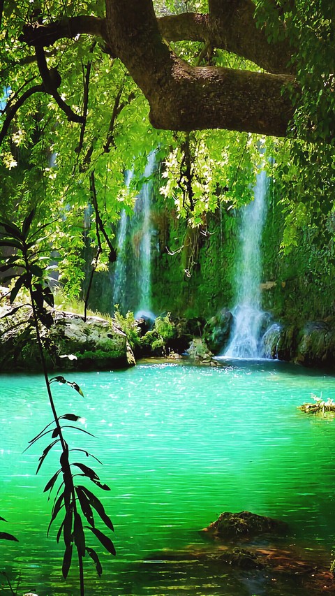 nature