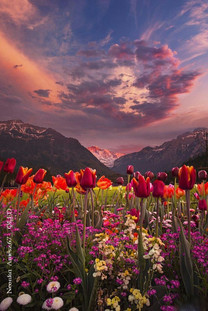 nature