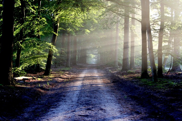 Join my path