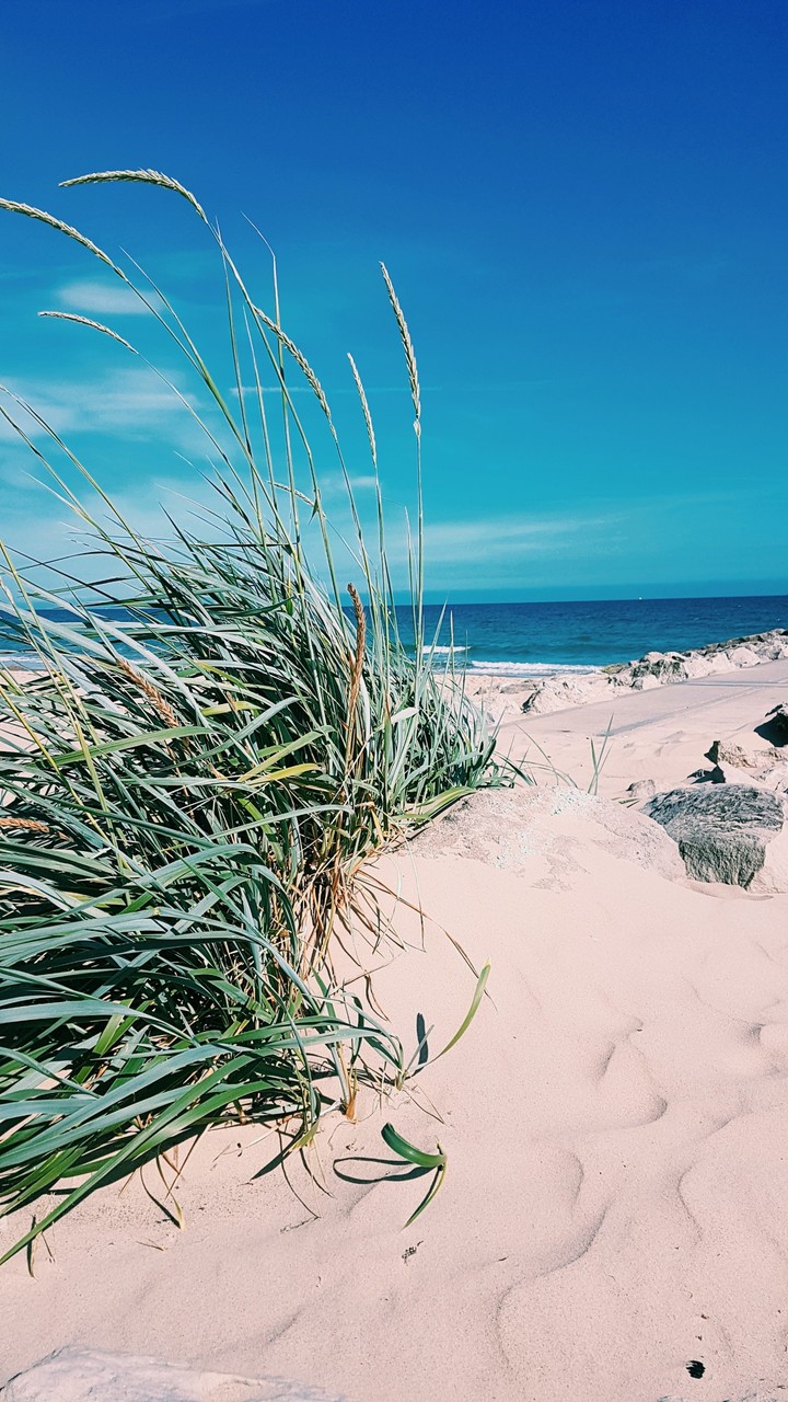 Meer