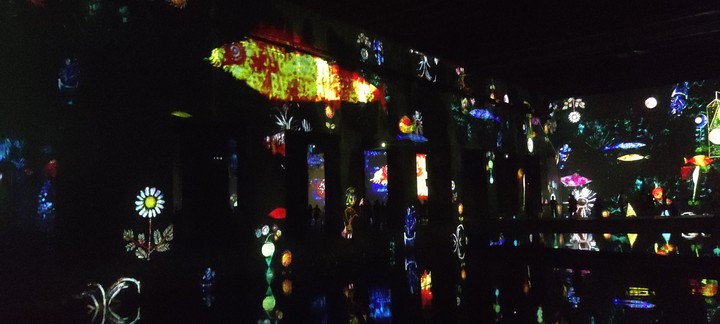 Pool of Lights