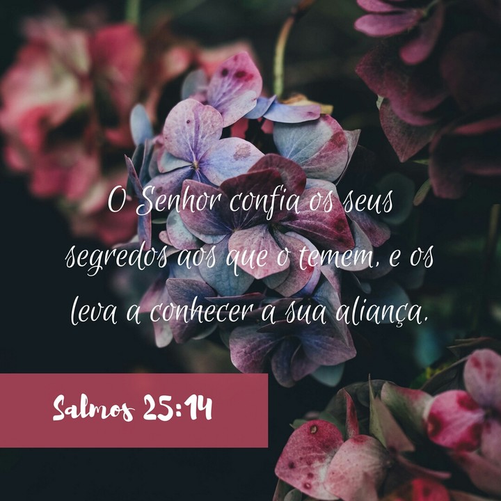 Segredos so Senhor