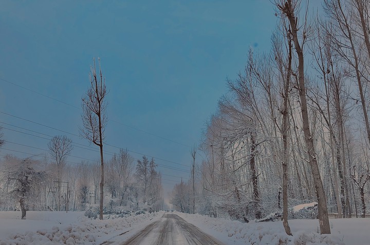 Kashmir