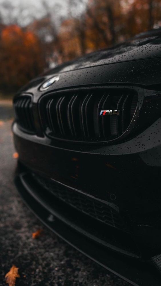 Wallpaper