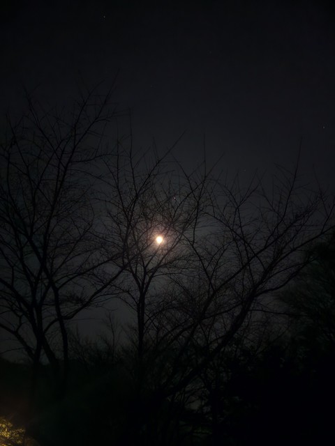 fonds d'écran darkness, moon
