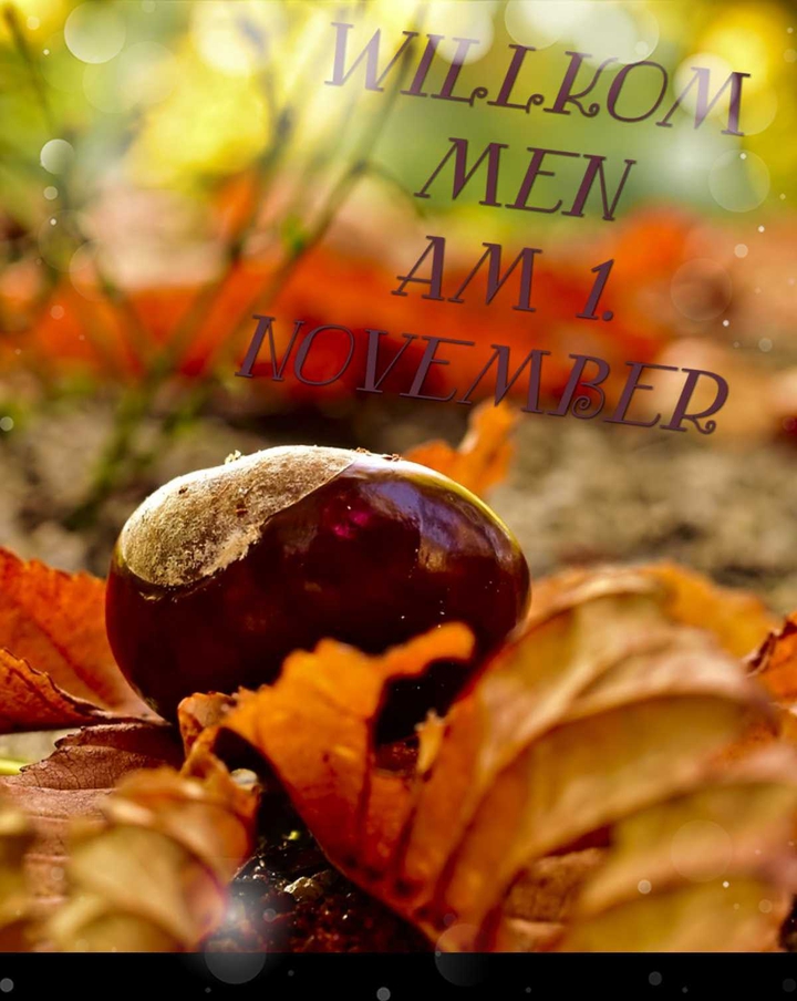 Hallo november