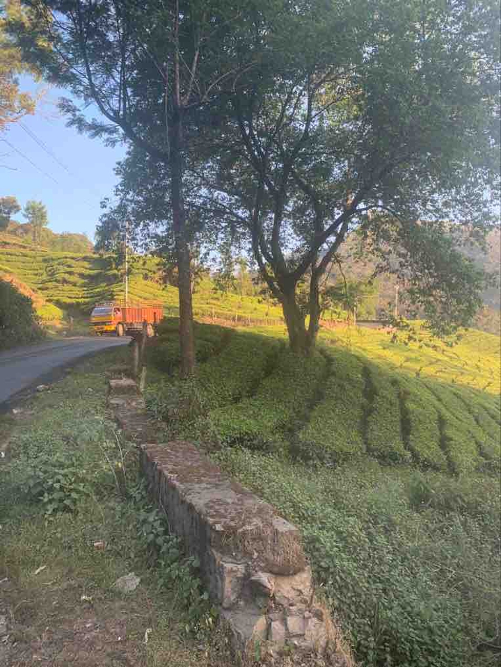 Munnar