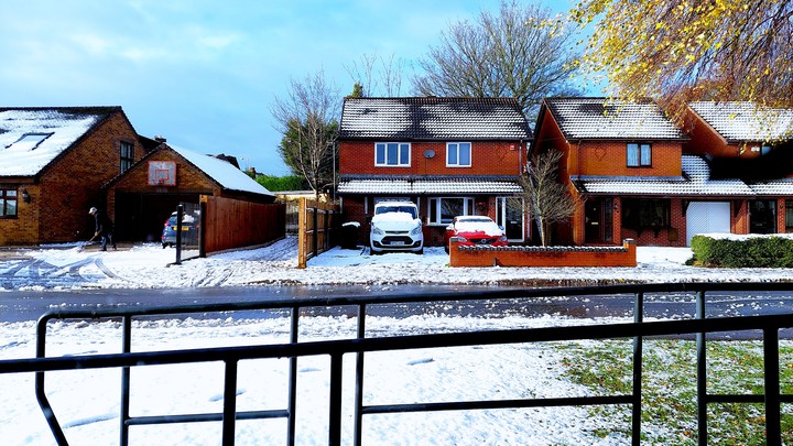 snowy day!!
