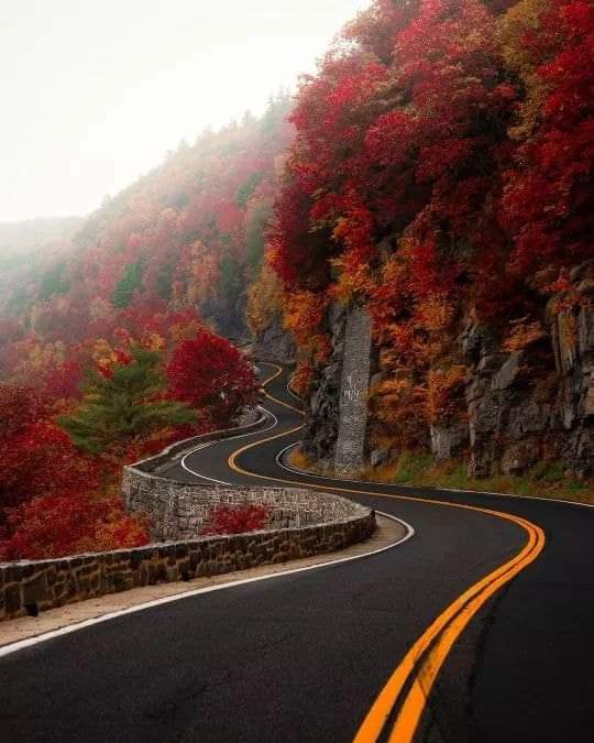 road