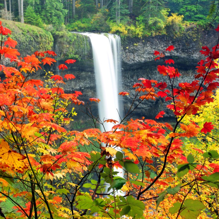 cascada
