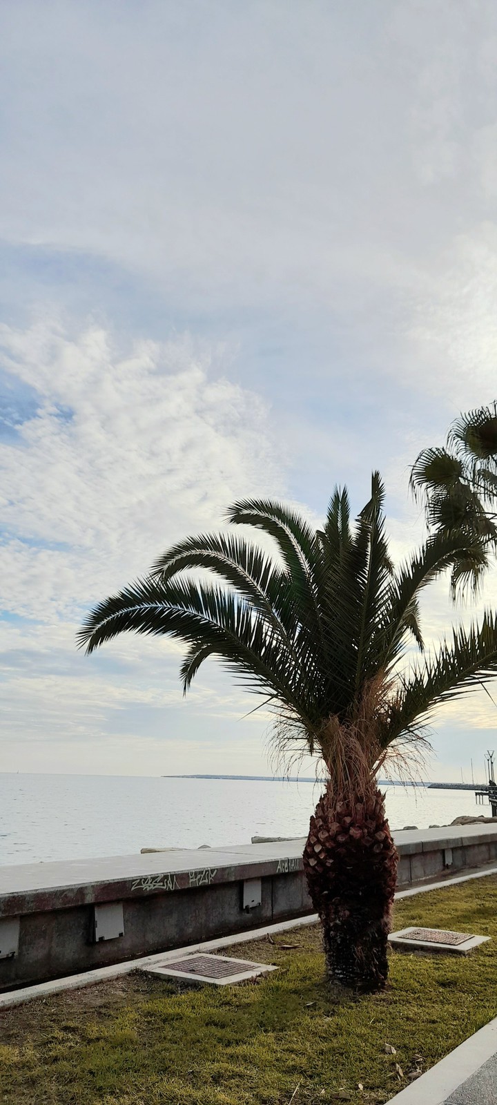 palm beach