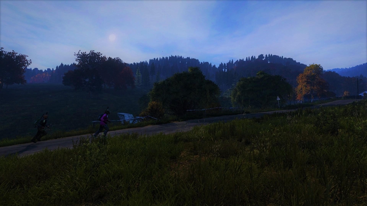 DayZ