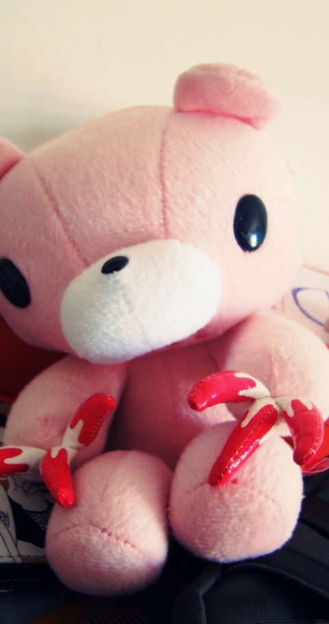 teddy