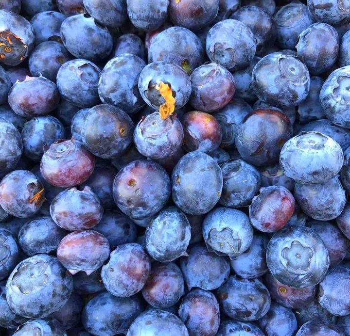 blueberry