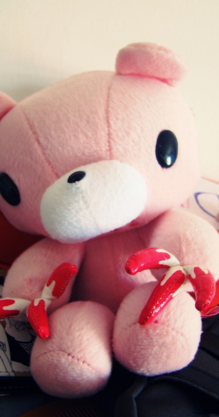 teddy