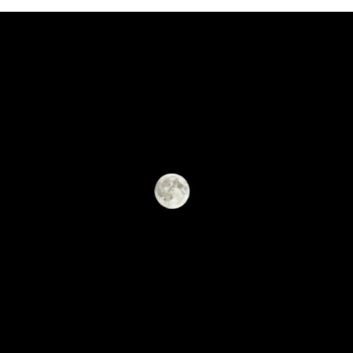 Moon light