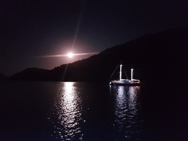 Gecenin ışıkla uyumu