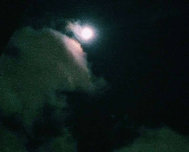 moonlight