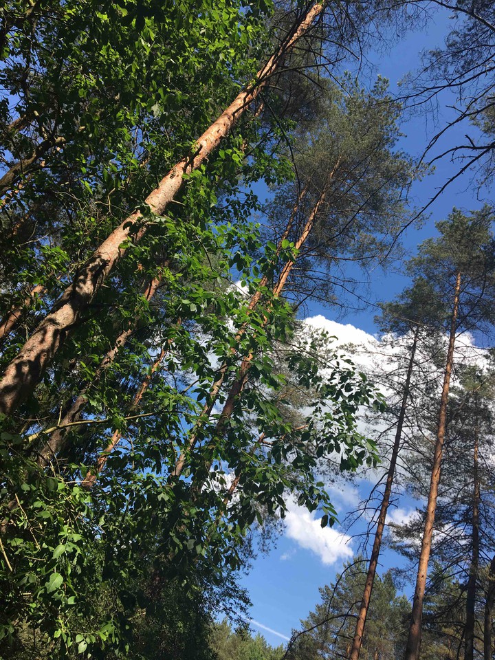 ?☁️