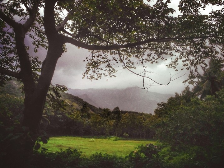 A Snap after rain