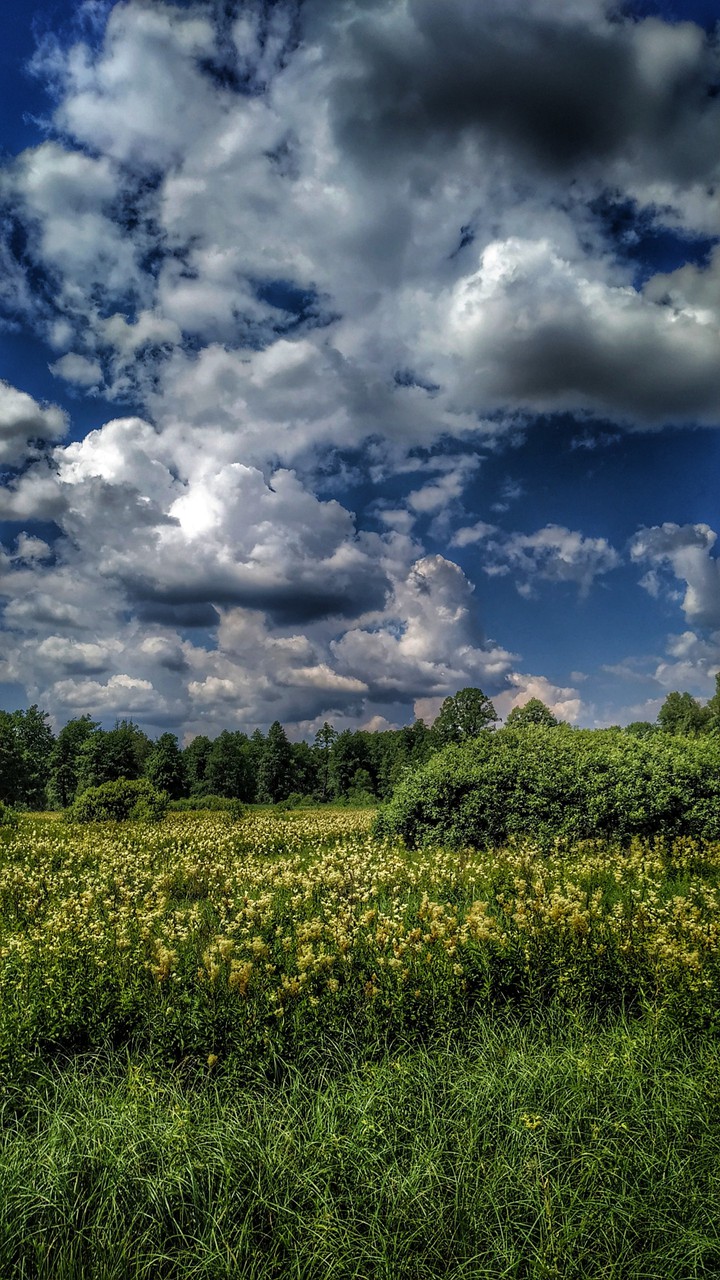 nature