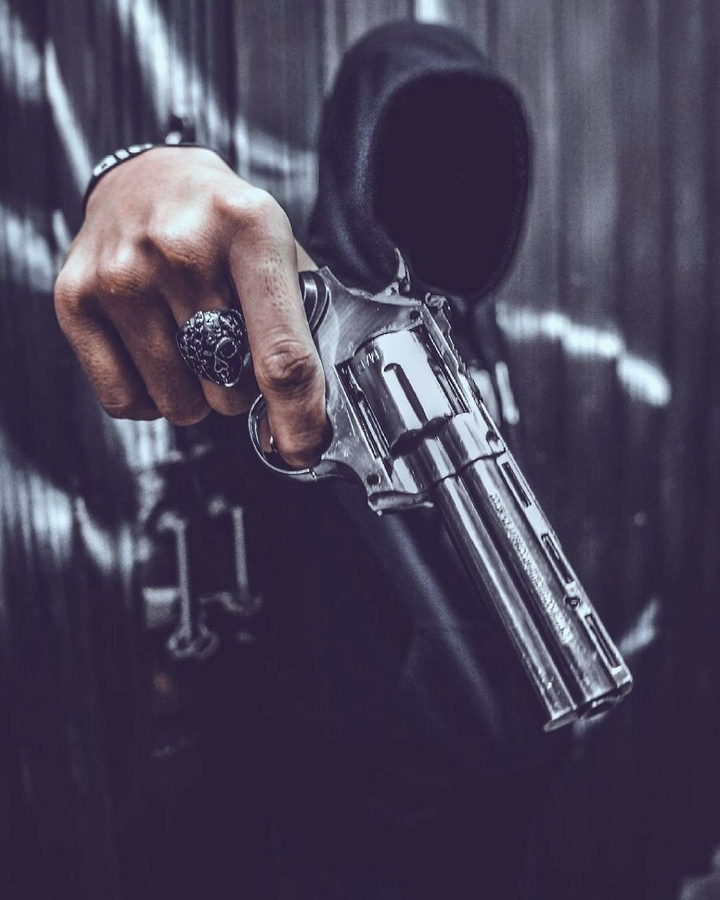 Gun