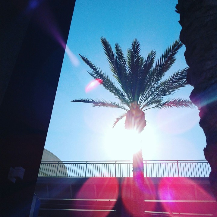 life by the beach