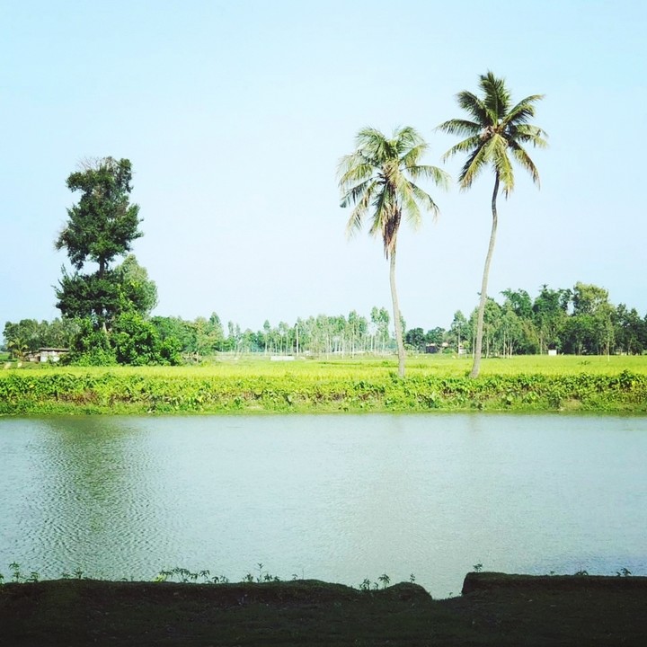 nature#village