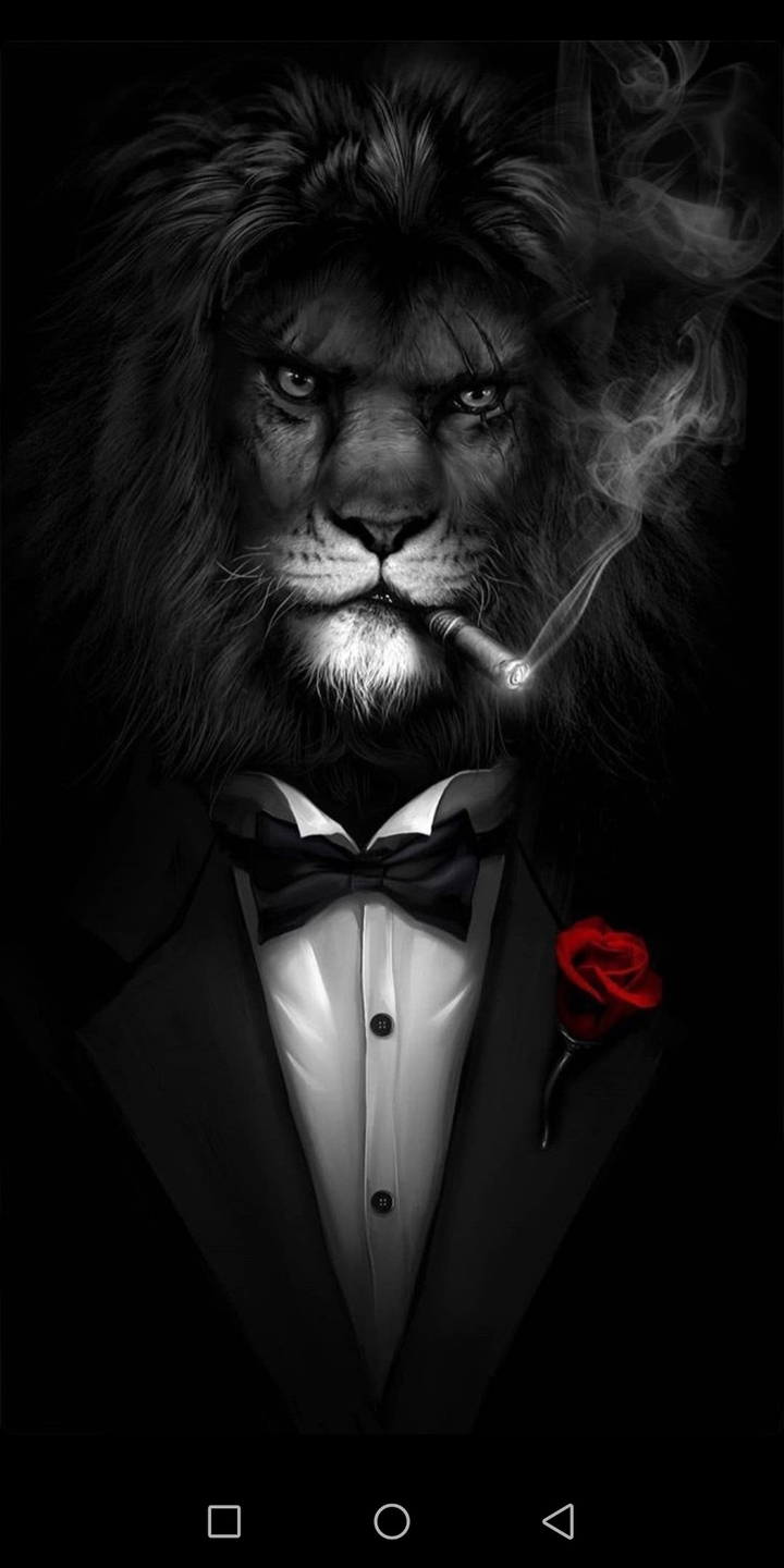 lion