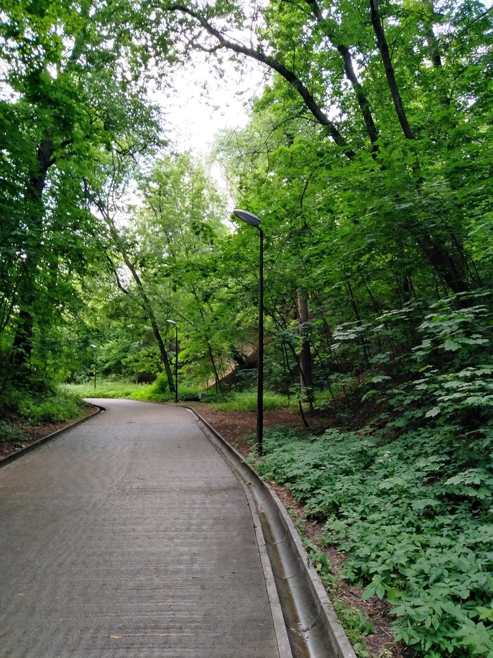 walking