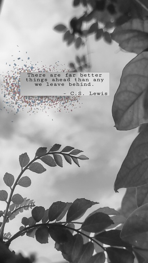 The Leaf