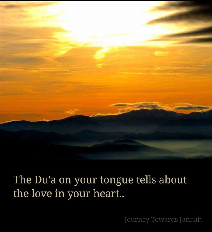 Journey Towards Jannah