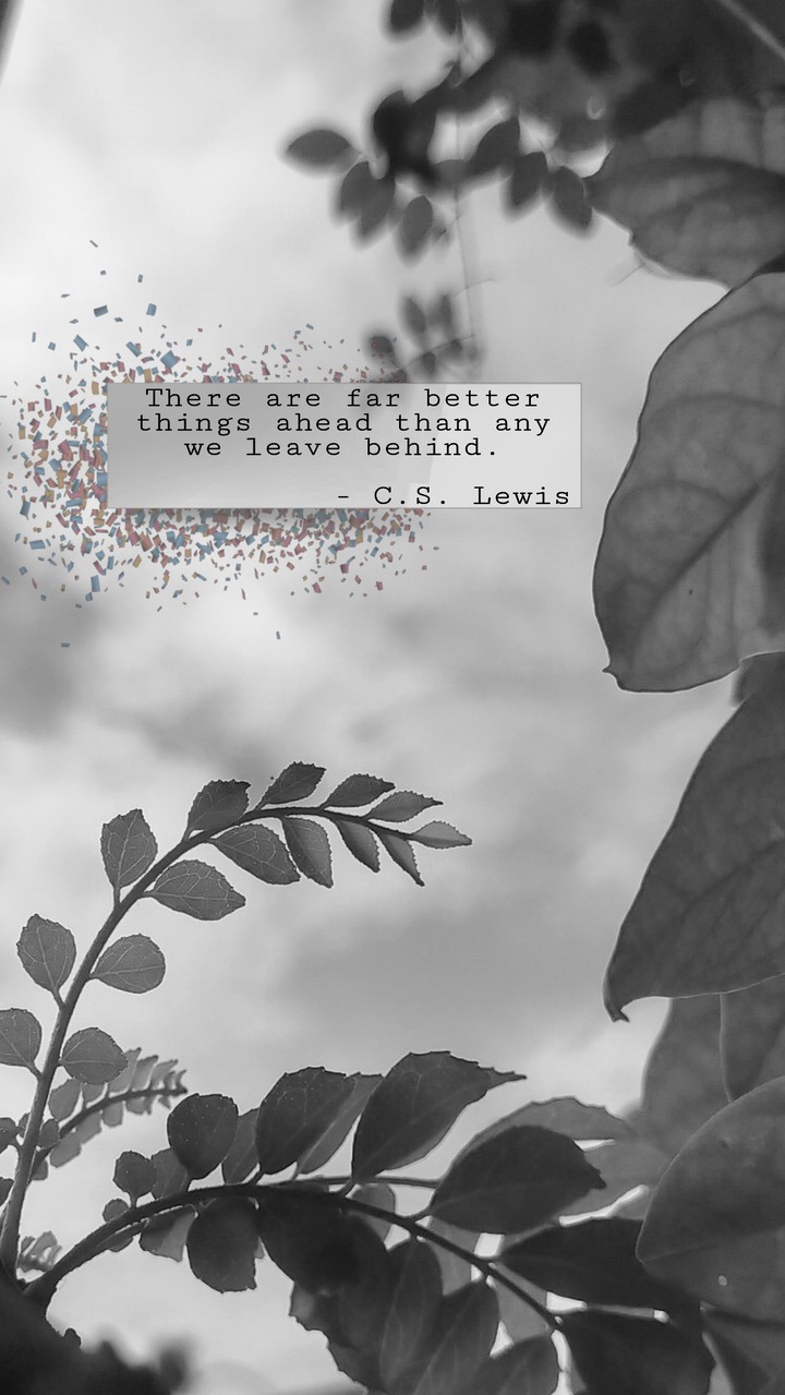 The Leaf