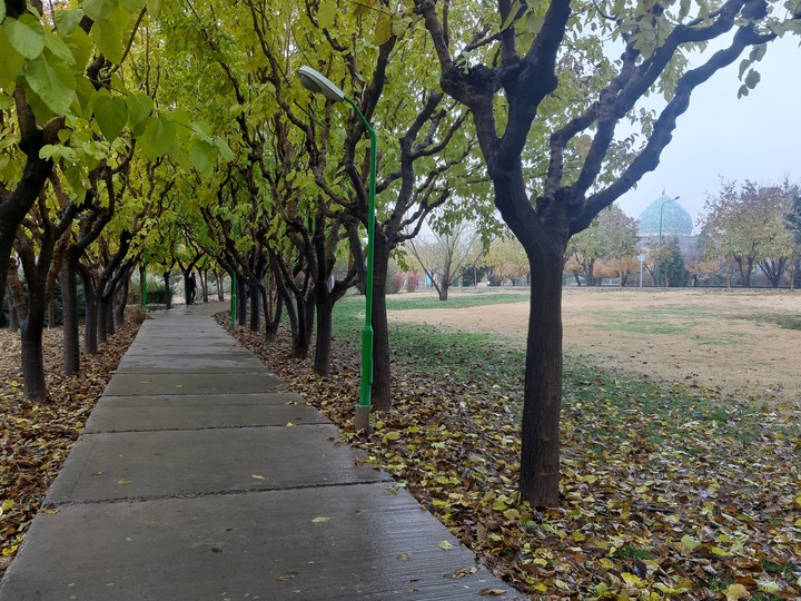 autumn