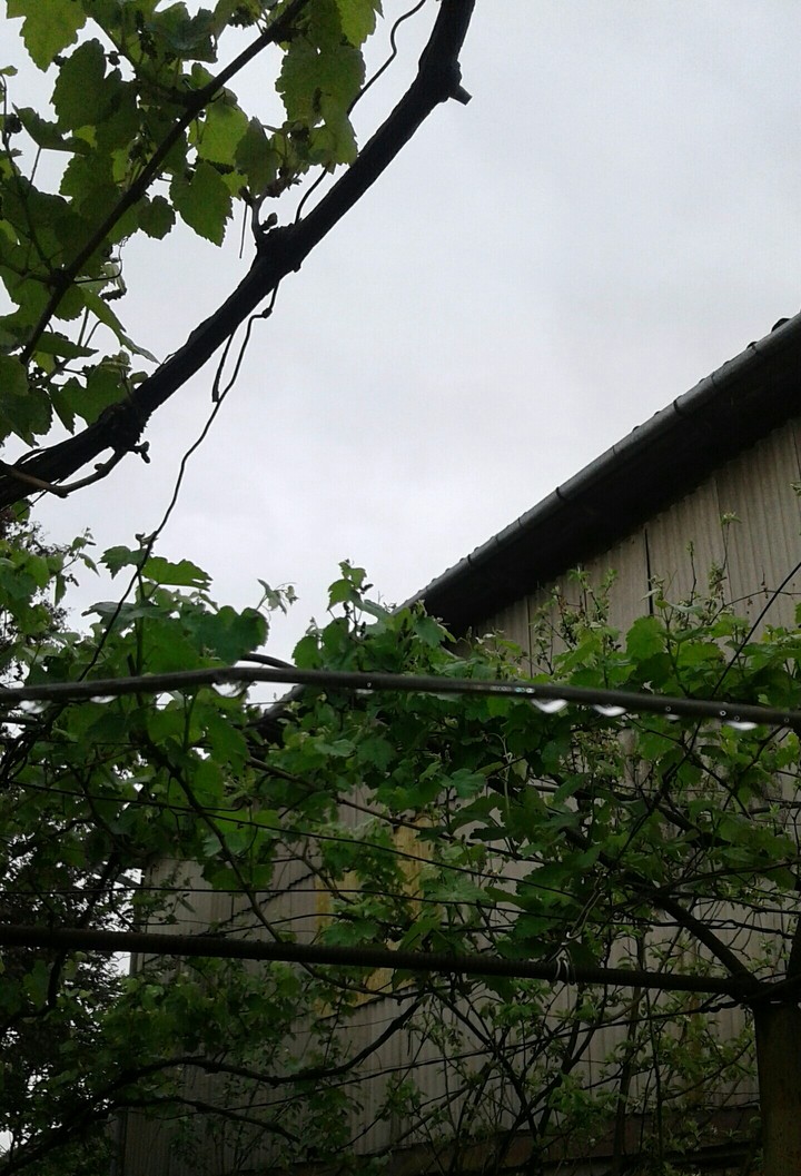 rainy days
