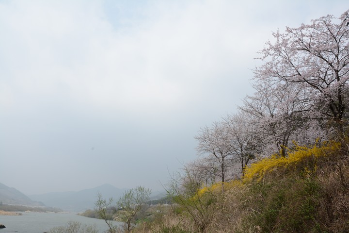 풍경이미지