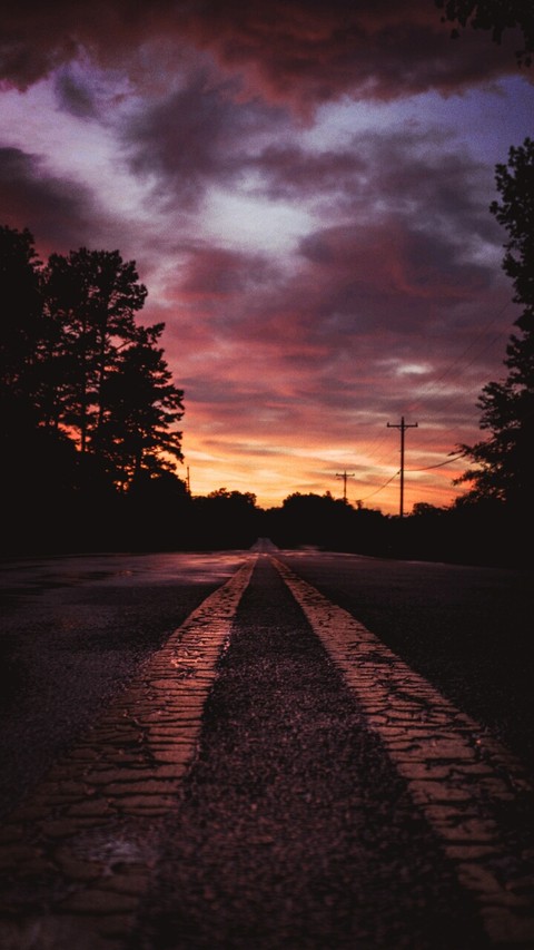 The Night