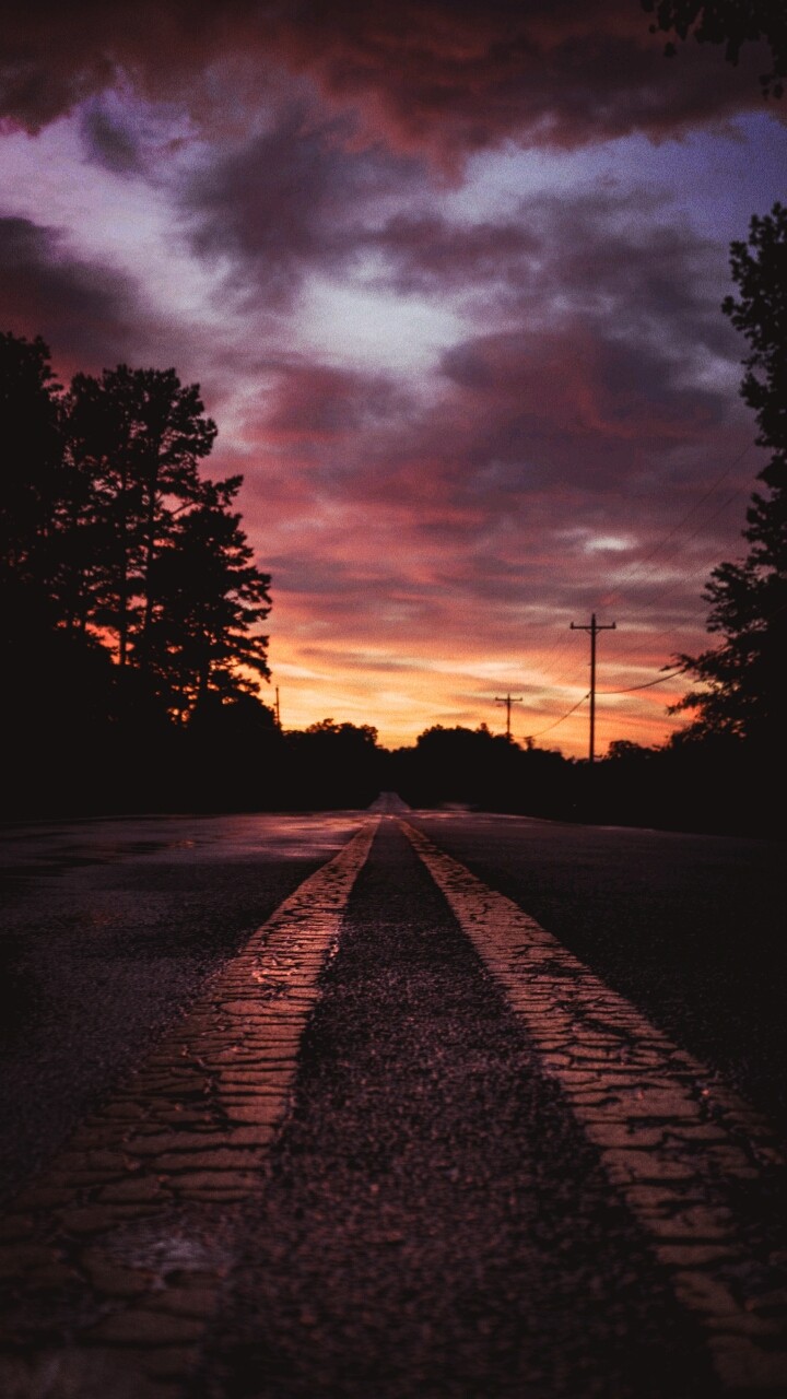 The Night